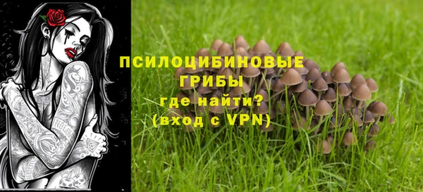 мескалин Вяземский