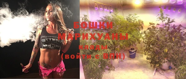 молекула духа Володарск