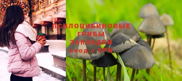 мескалин Вяземский