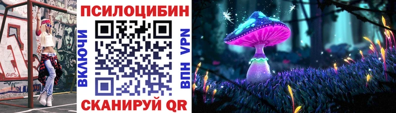 мега онион  Железногорск  Псилоцибиновые грибы мицелий 