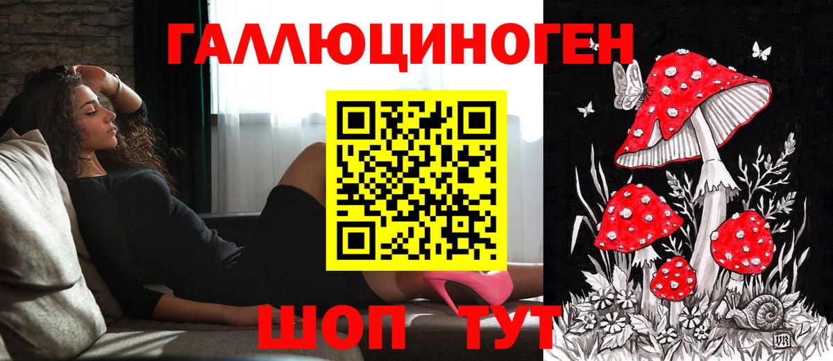 Псилоцибиновые грибы MAGIC MUSHROOMS  Псилоцибиновые грибы Psilocybine cubensis  Вход с VPN  Железногорск 